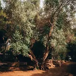 Apartament I Giardini Di Santomaj Leporano