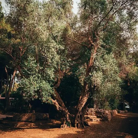 Apartmán I Giardini Di Santomaj Leporano